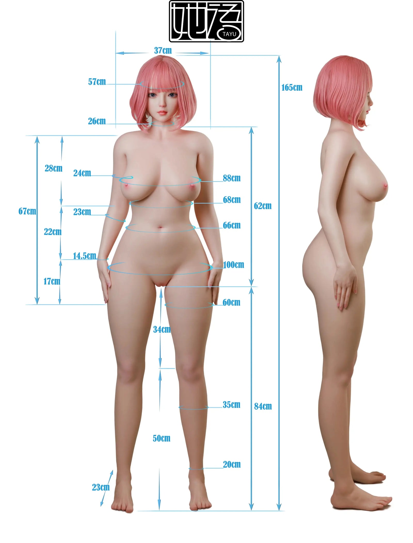 Balandžio sekso lėlė (Tayu Doll 165 cm E-Cup ZC-24# silikonas)