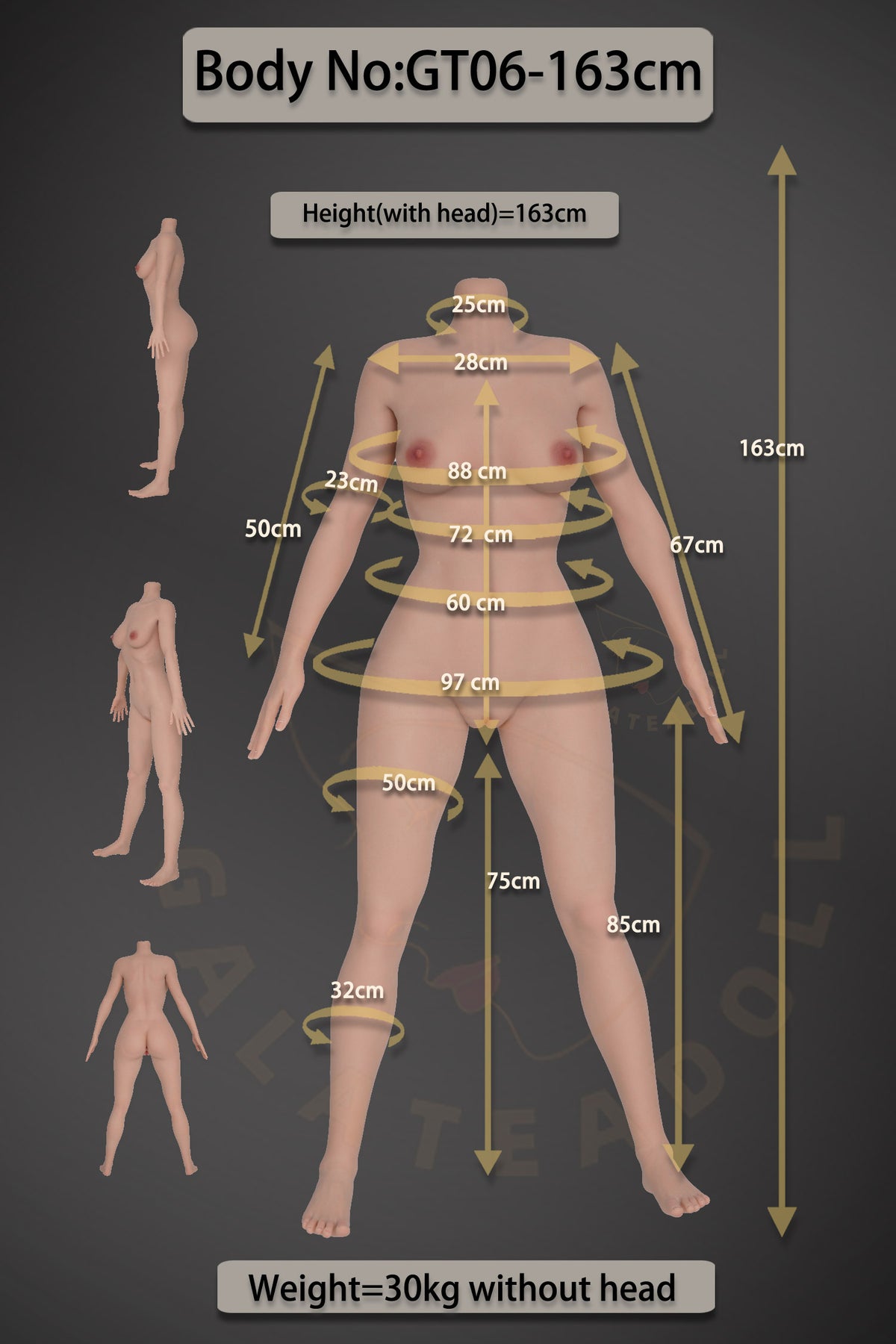 Amanda Sex Doll (Galatea Doll 163 cm D-Cup #135 silikonas)