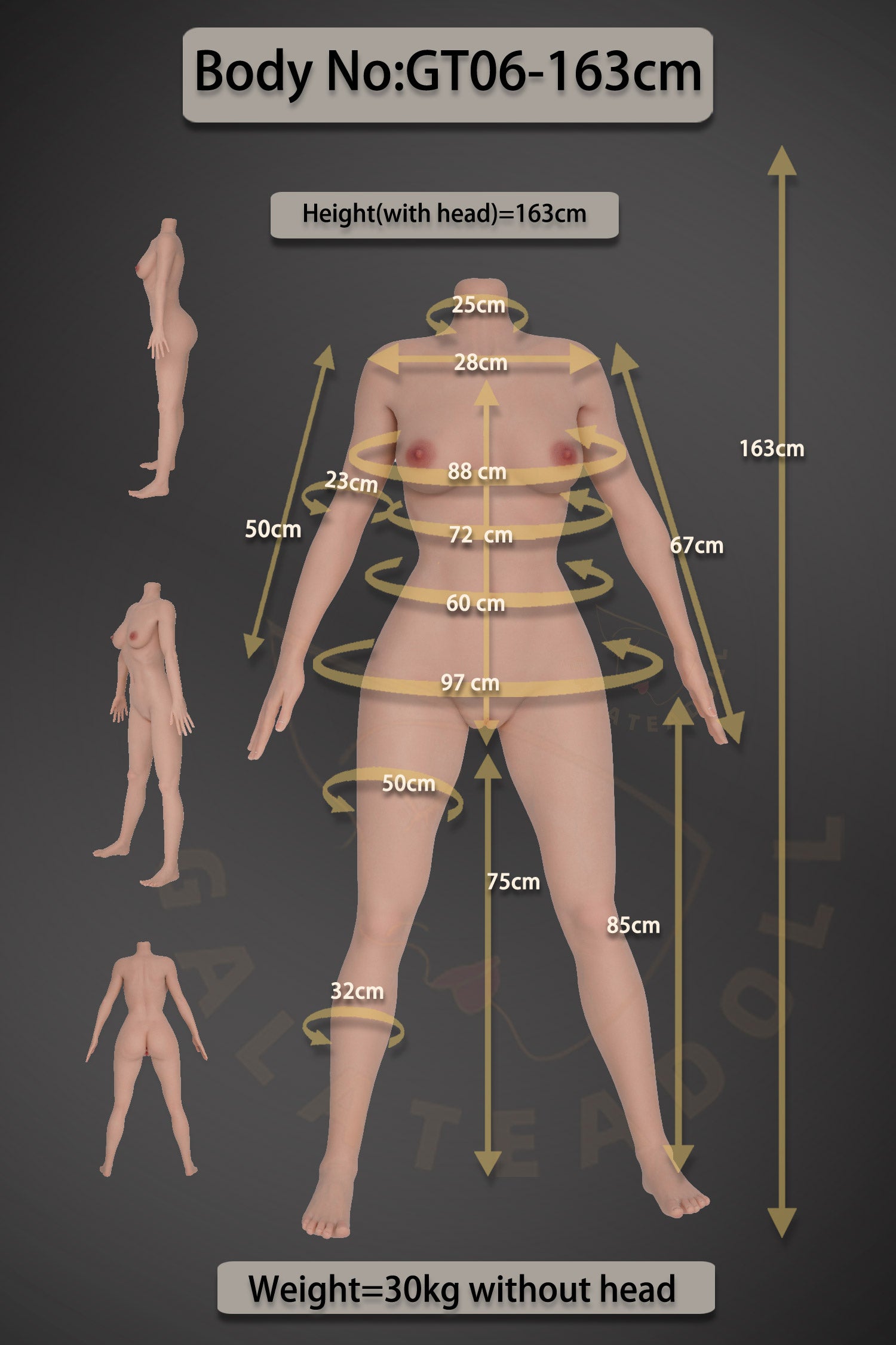 Amanda Sex Doll (Galatea Doll 163 cm D-Cup #135 silikonas)