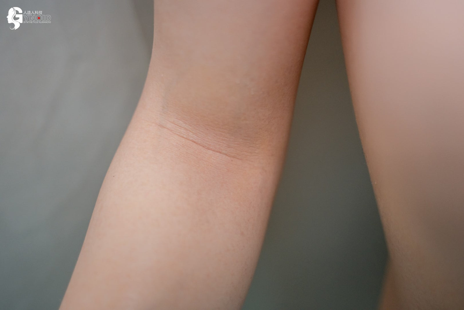 Sekso lėlė Leyla Model 19R Deluxe (Gynoid Doll 168 cm F-Cup silikoninis)