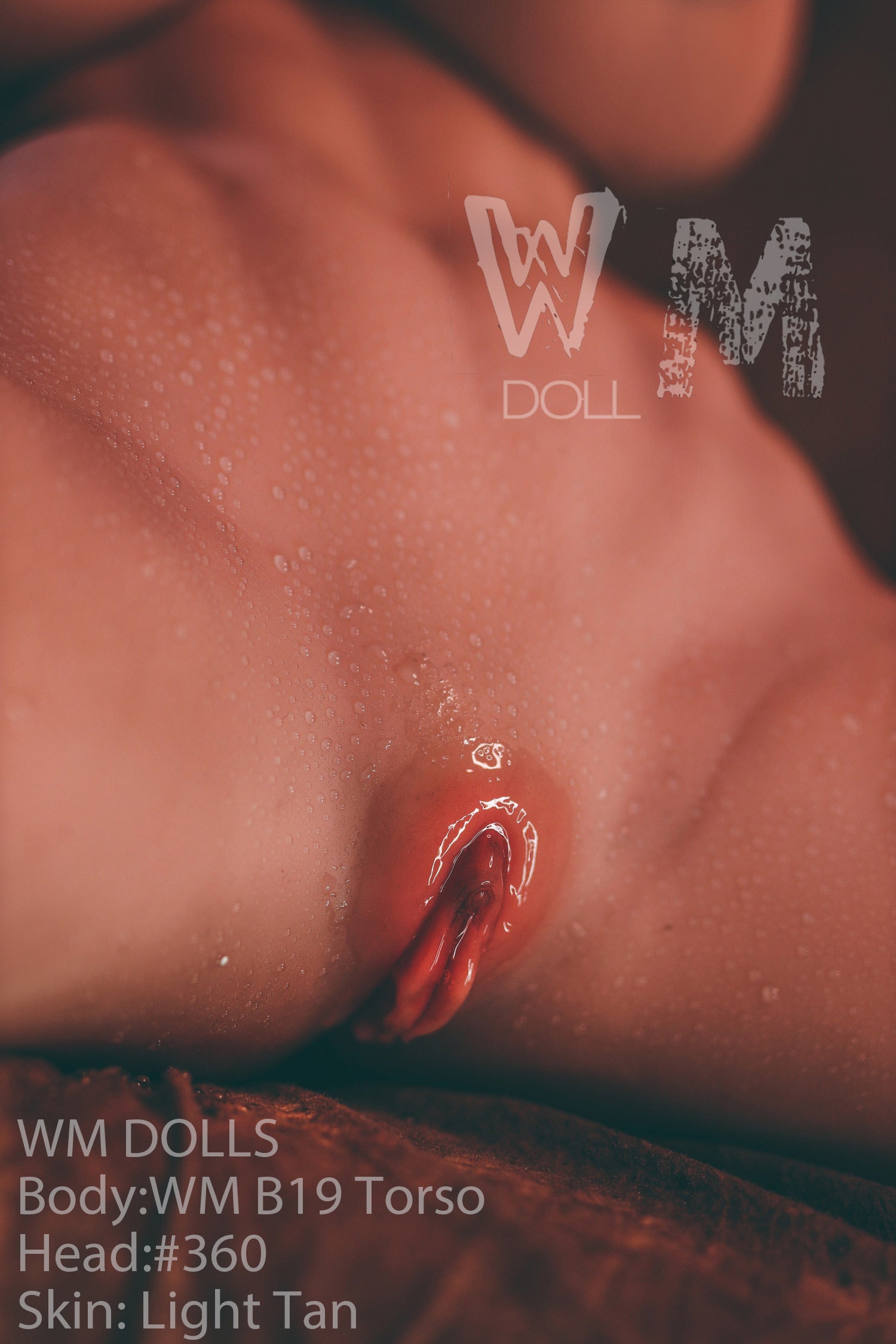 Brandy Sex Doll (WM-Doll Torso B19 89 cm J puodelis #360 TPE)