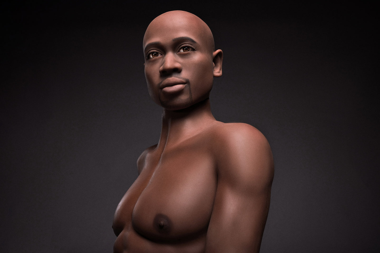 James Male Sex Doll (Irontech Doll 175 cm # 205 TPE)